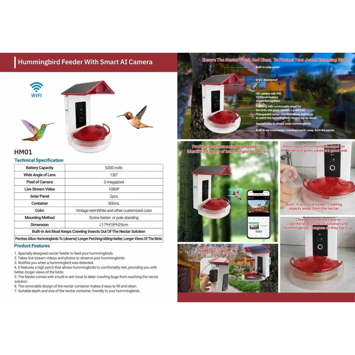 Talis - us Professional Hummingbird Feeder with Smart Al Camera - Talis Us