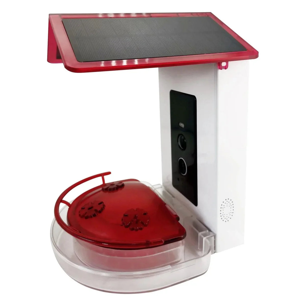 Talis - us Professional Hummingbird Feeder with Smart Al Camera - Talis Us