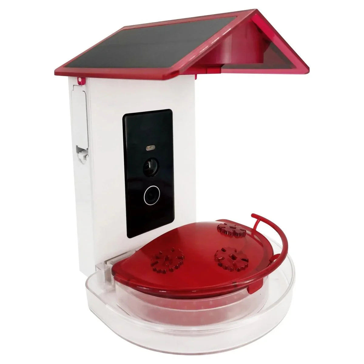 Talis - us Professional Hummingbird Feeder with Smart Al Camera - Talis Us