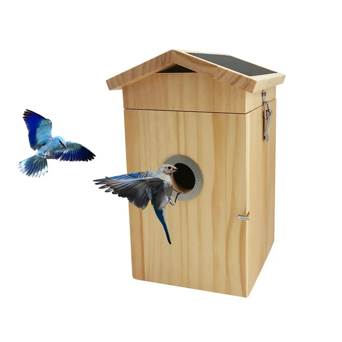 Talis - us Smart Bird Nesting House with WI - FI Camera - Talis Us