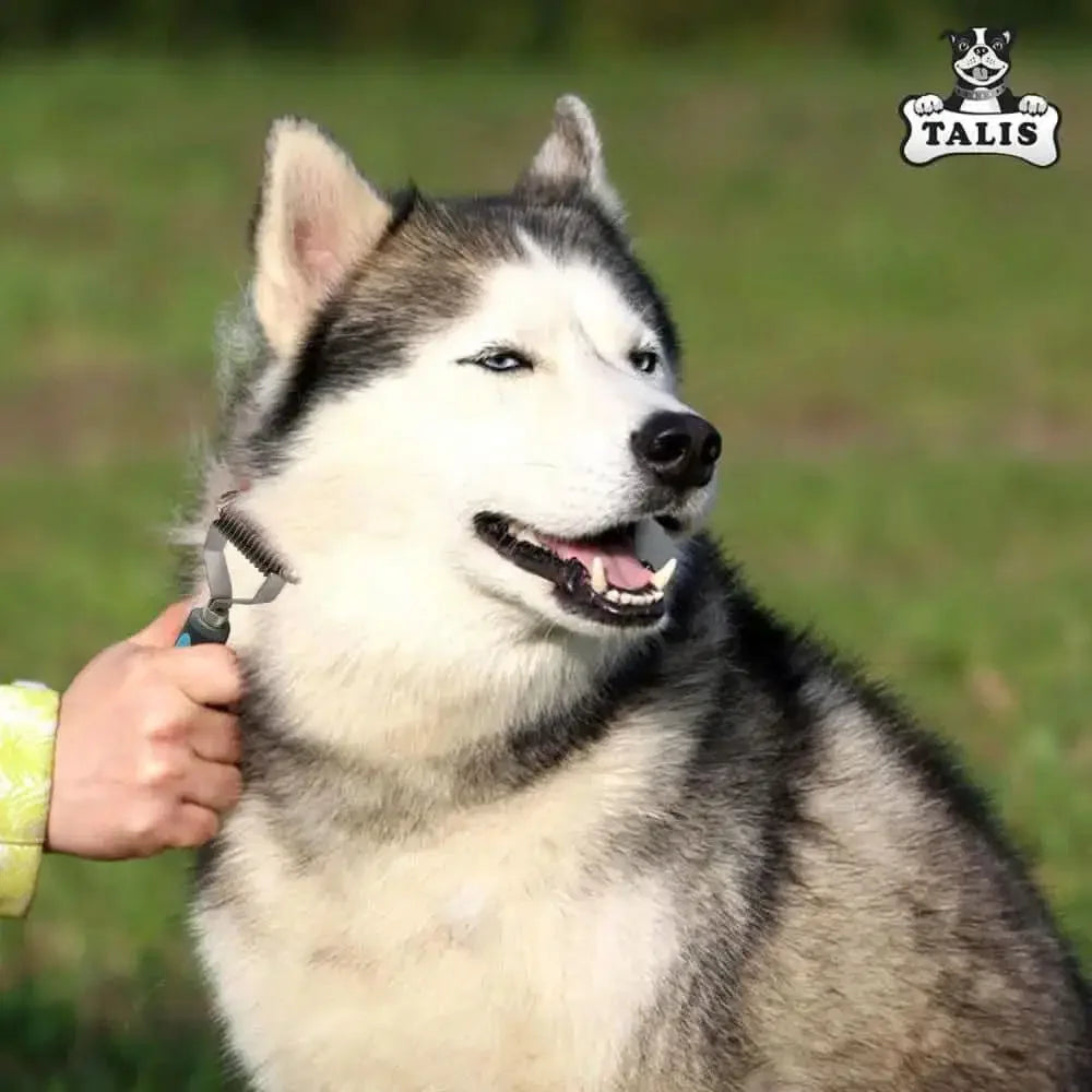 A person grooms a happy Siberian Husky with the Talis Us Pet Dematting Comb for Dogs outdoors on grass. The dog has a thick gray and white coat and looks to the side, mouth slightly open. The Talis Us logo appears in the top right corner.