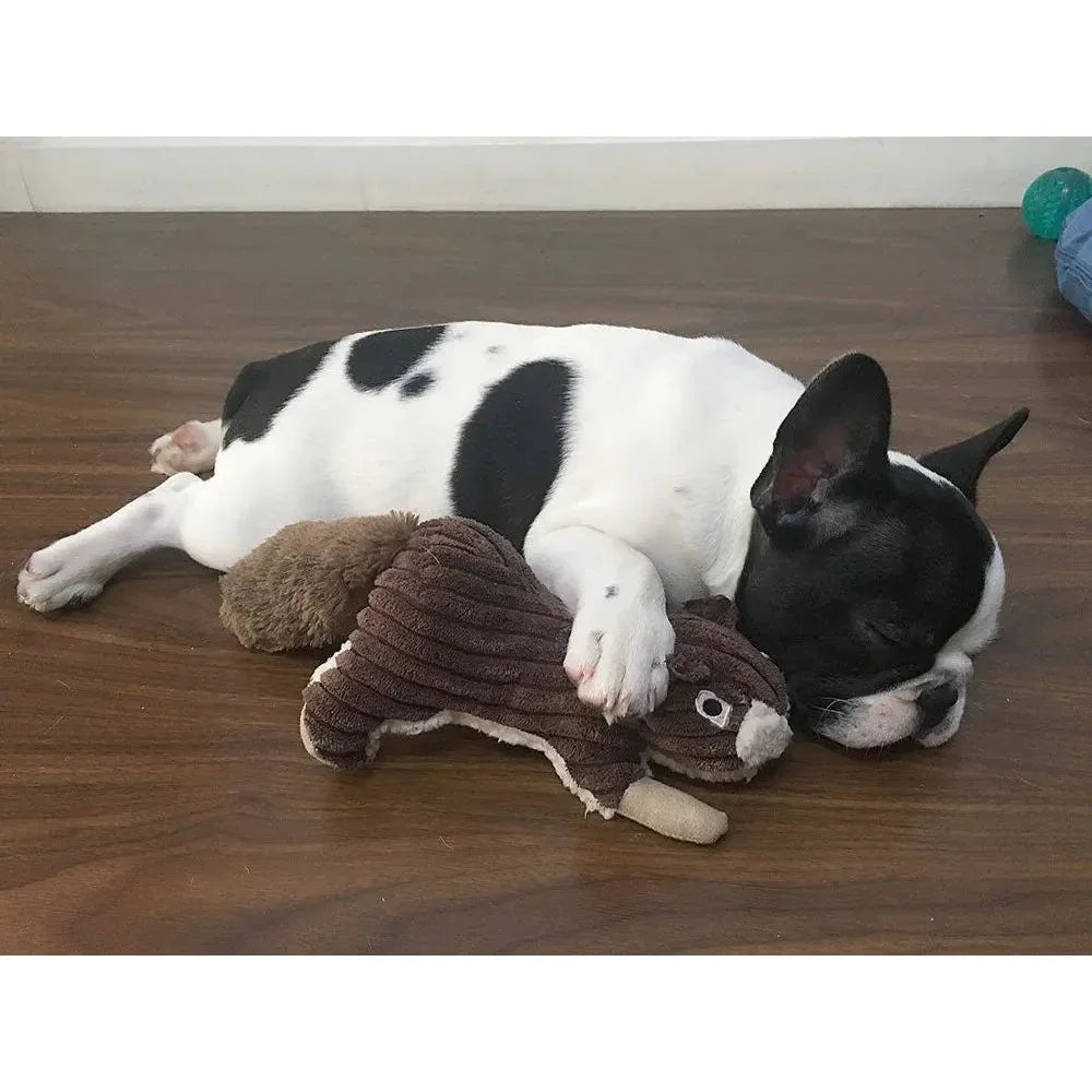 Tall Tails Squirrel With Squeaker, 12" - Talis Us