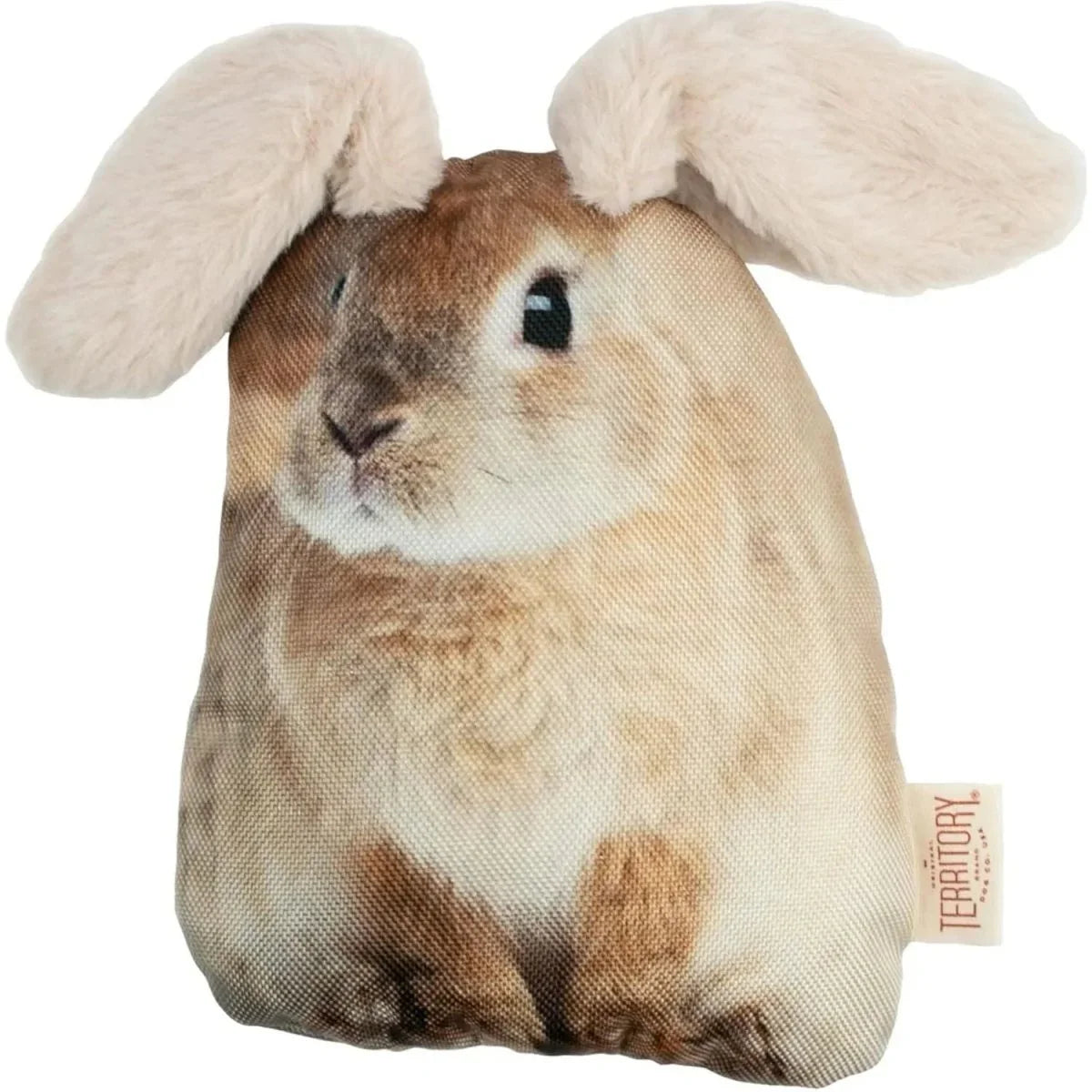 Territory Interactive Floppy Friends Toy for Dogs 10" - Talis Us