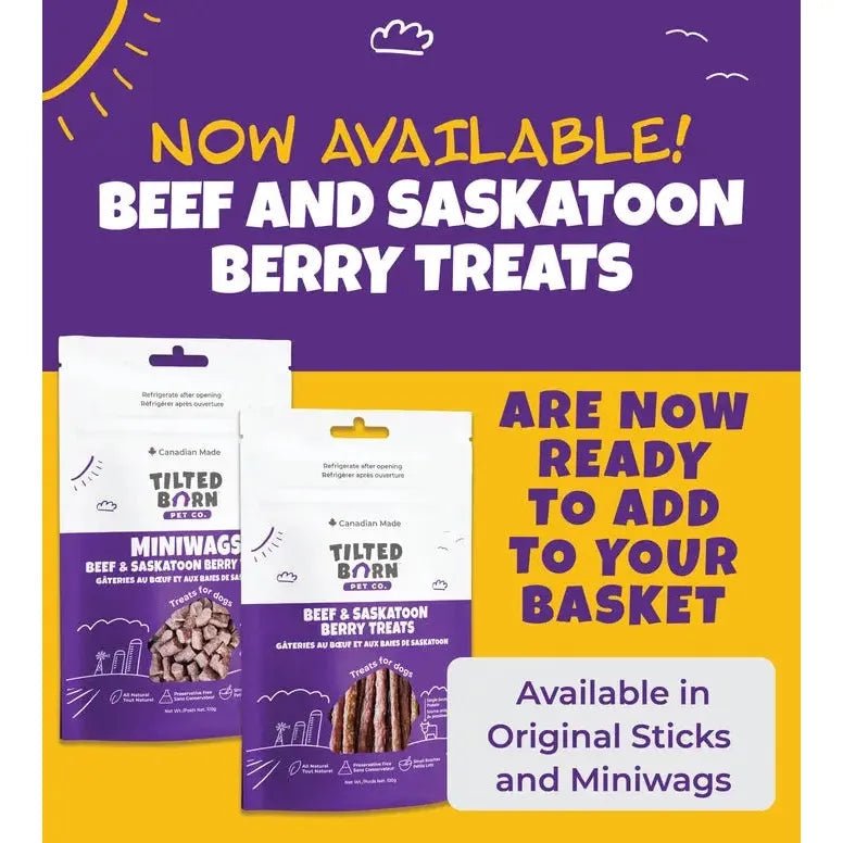Tilted Barn Pet Beef & Saskatoon Berry Recipe Soft & Chewy Dog Treats 3.53oz - Talis Us