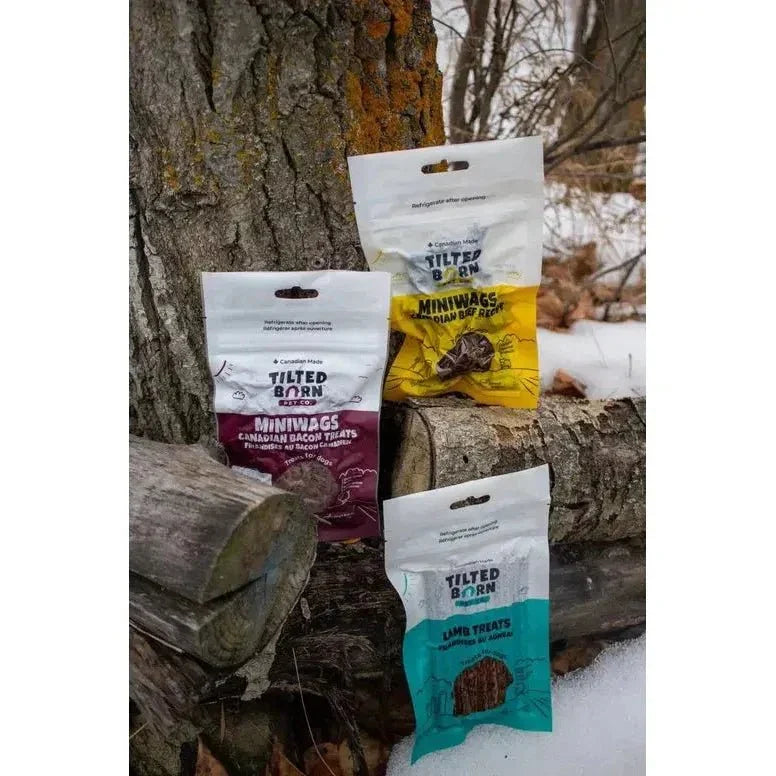 Tilted Barn Pet Canadian Lamb Recipe Dog Treats 3.53oz - Talis Us