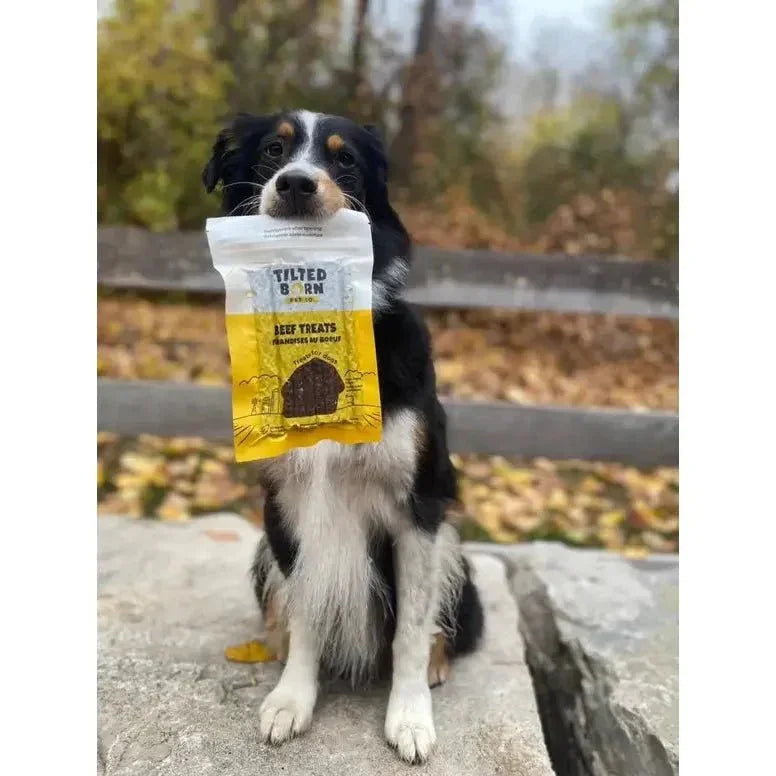 Tilted Barn Pet Company Beef Recipe Treats For Dogs 3.53oz - Talis Us