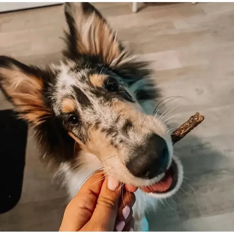 Tilted Barn Pet Company Beef Recipe Treats For Dogs 3.53oz - Talis Us