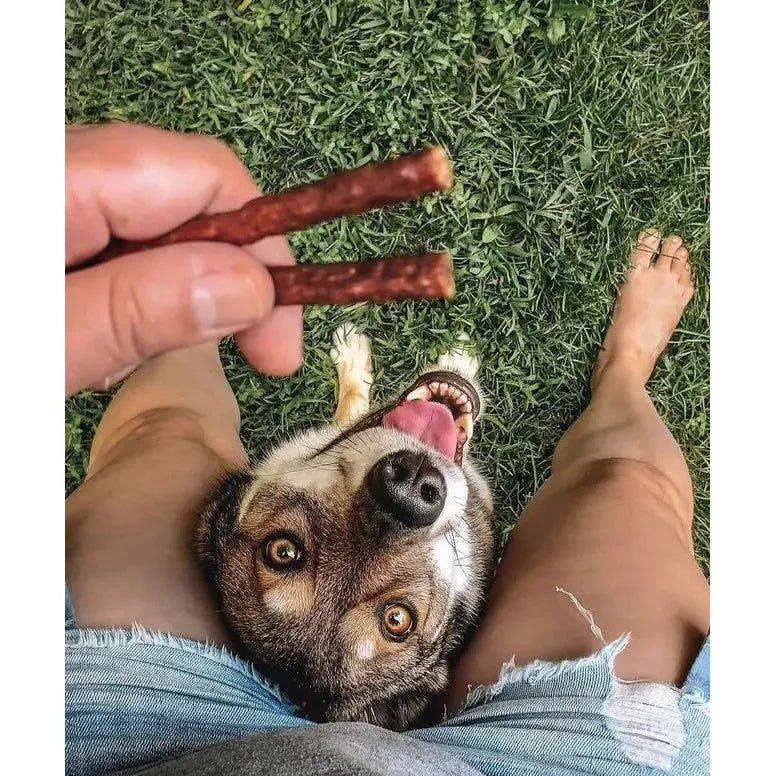 Tilted Barn Pet Company Beef Recipe Treats For Dogs 3.53oz - Talis Us