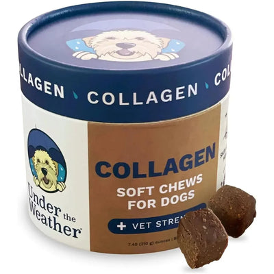 Under the Weather Collagen Soft Chew for Dogs 3.5oz - Talis Us
