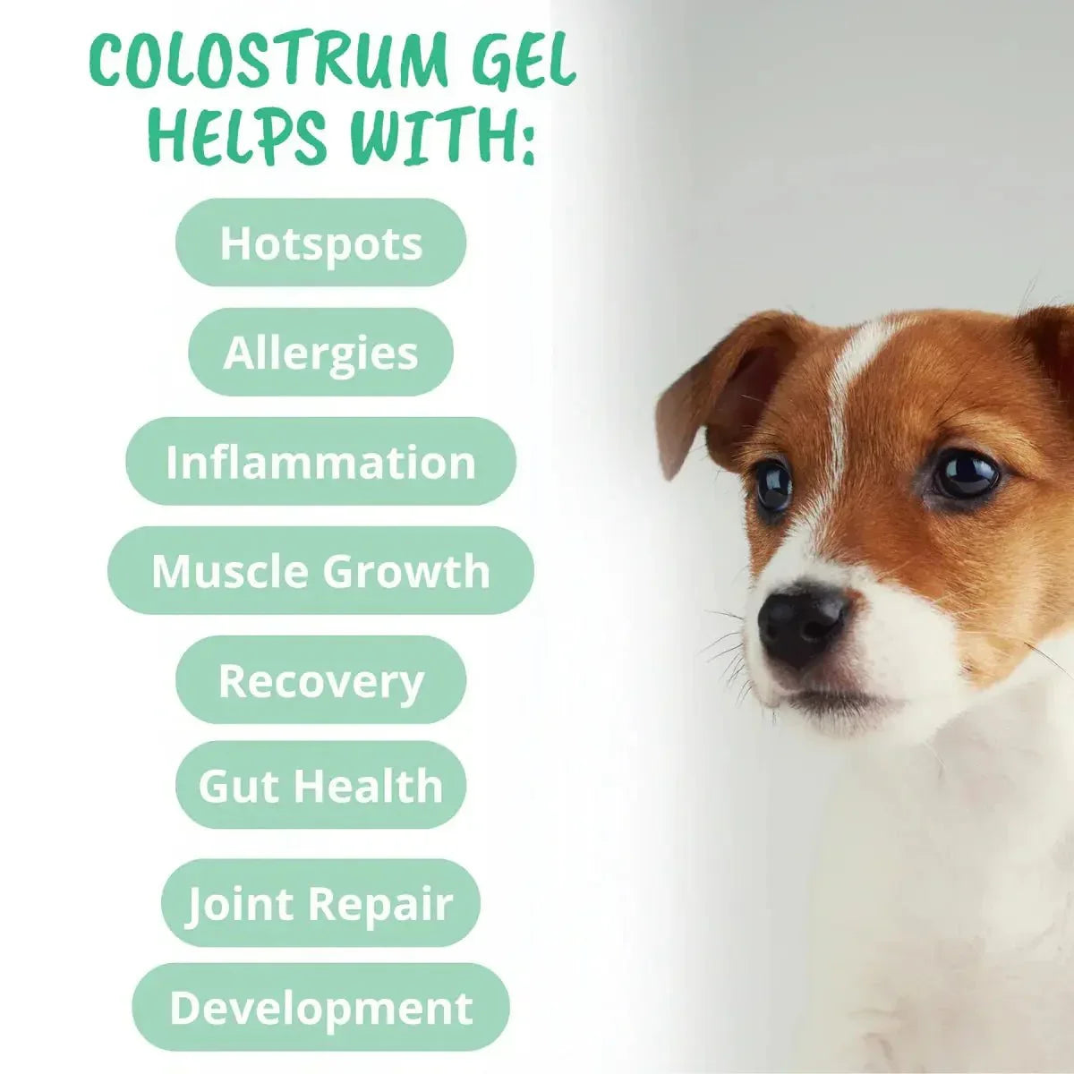 Under the Weather Colostrum Gel Squeezable for Dogs 30cc - Talis Us