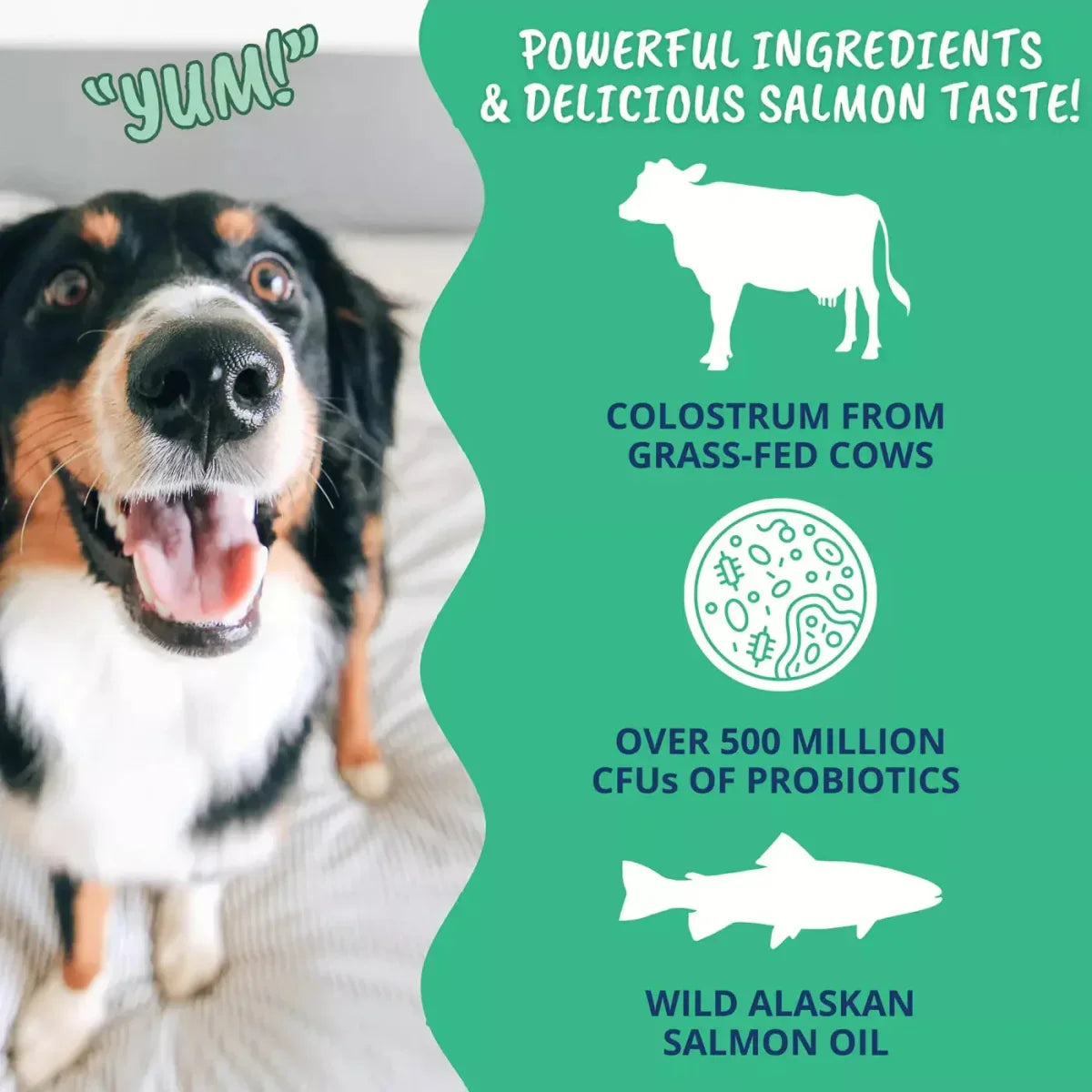 Under the Weather Colostrum Gel Squeezable for Dogs 30cc - Talis Us