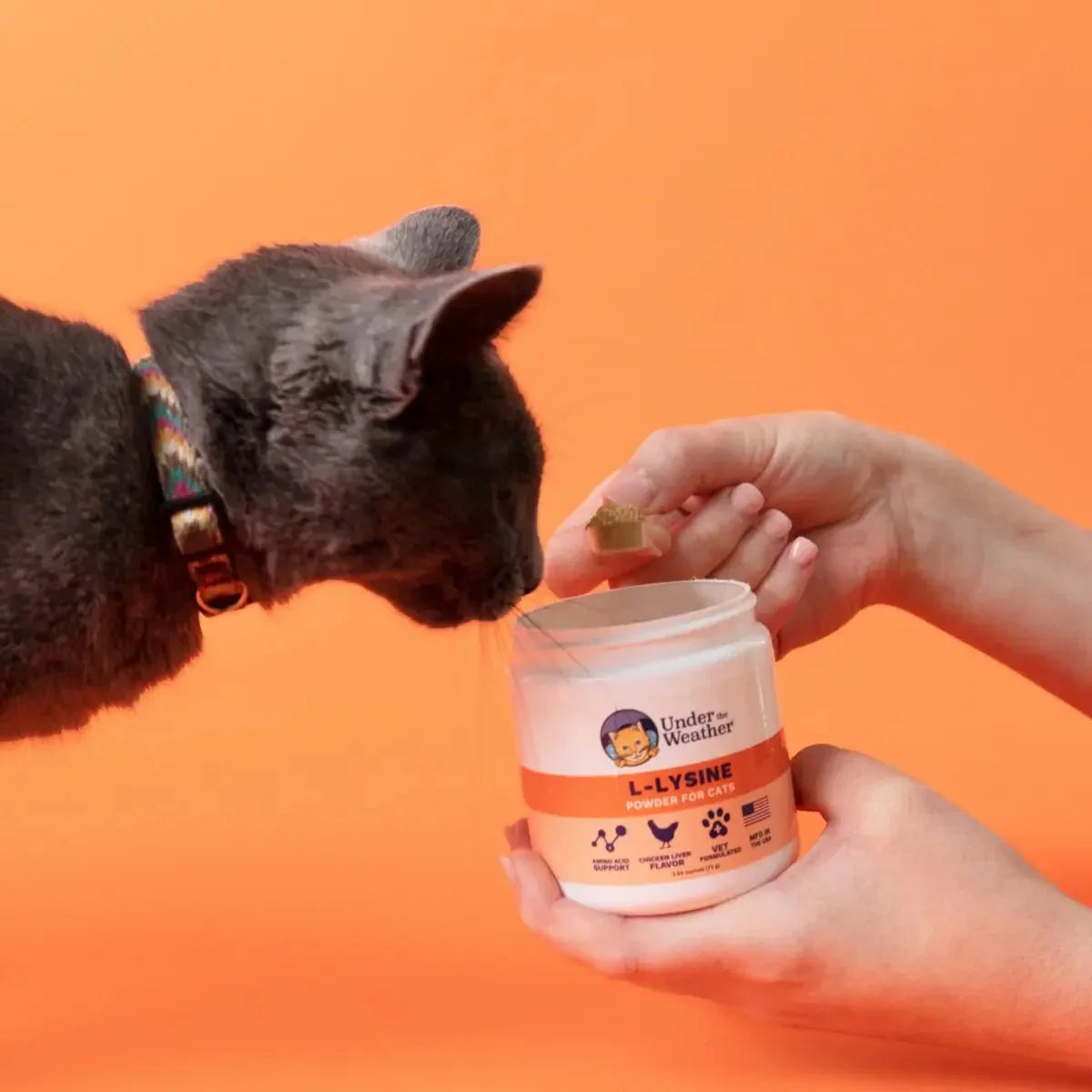 Under the Weather L - Lysine Powder for Cats 2.54oz - Talis Us