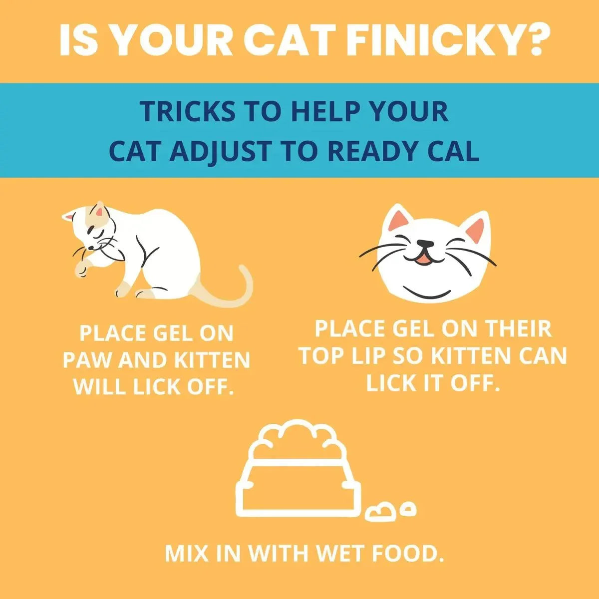 Under the Weather Ready Cal Plus w Electrolyes Squeezable for Cats 3.5oz - Talis Us