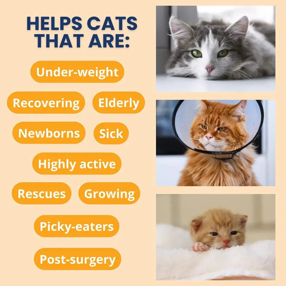 Under the Weather Ready Cal Plus w Electrolyes Squeezable for Cats 3.5oz - Talis Us