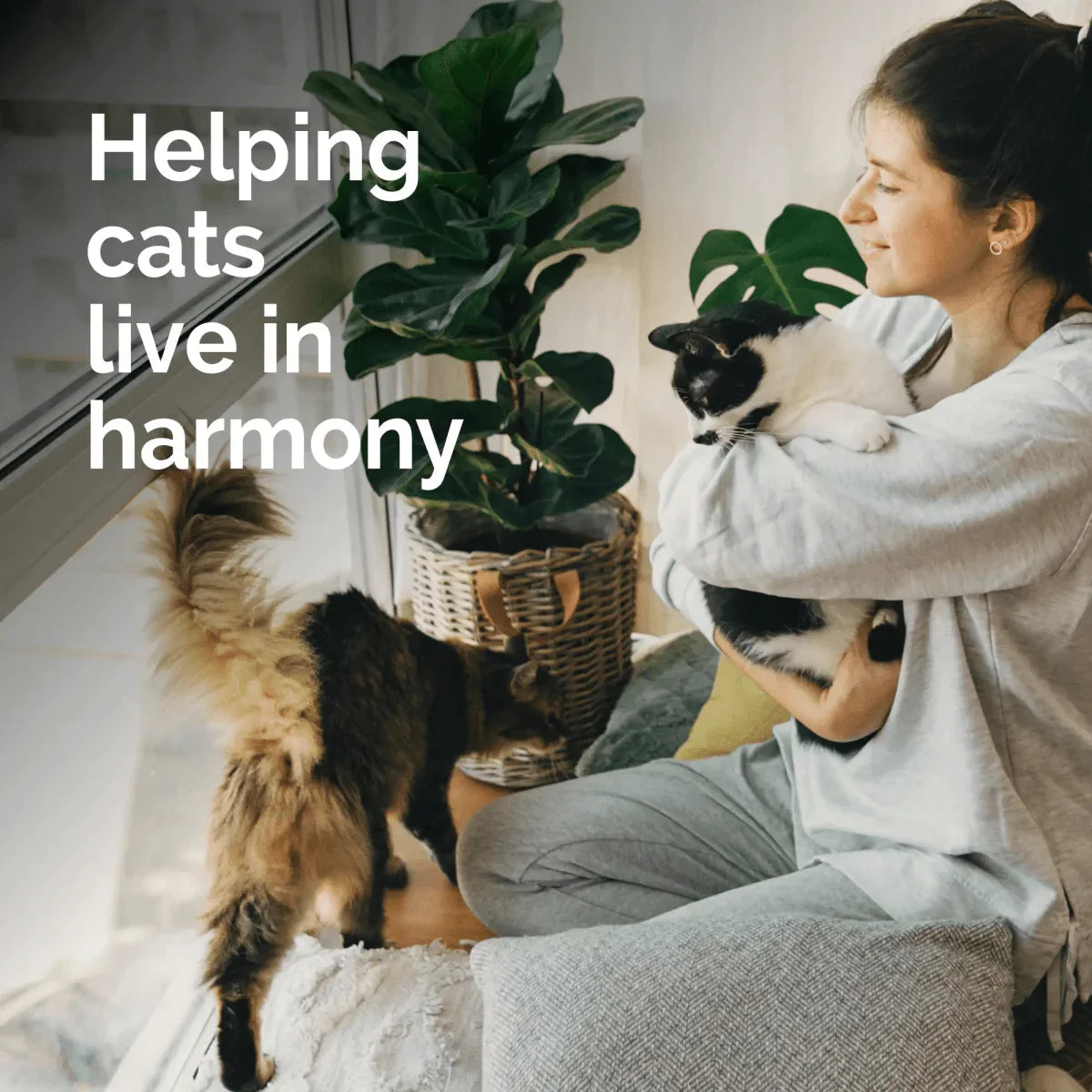 Vetality Harmony Pet Calming Litter Box Diffuser - Talis Us