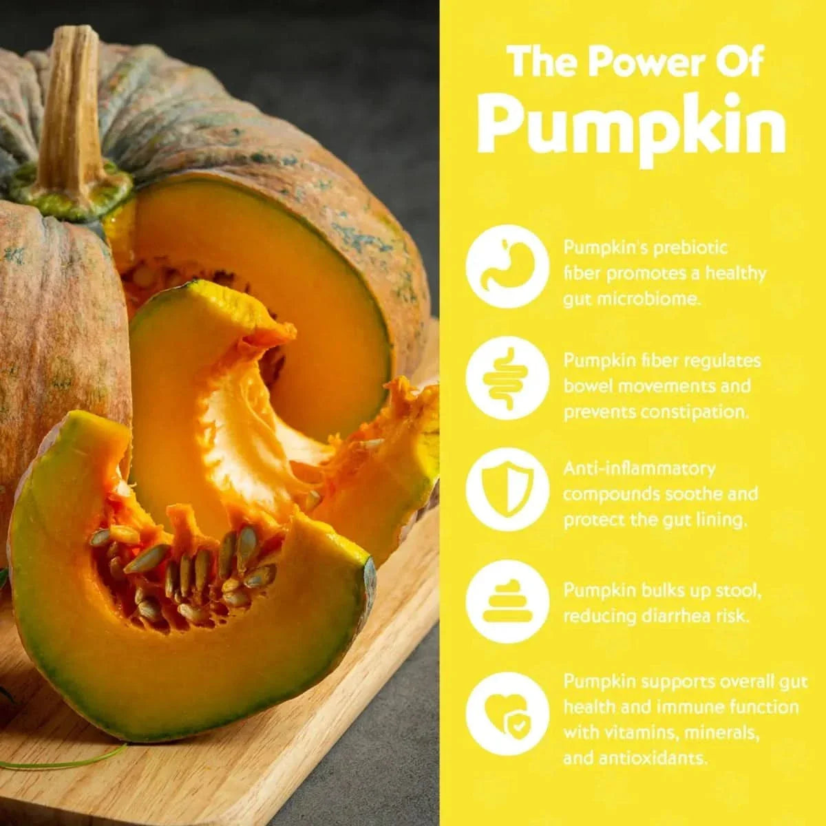 Vitafur Barkin Burger Chicken & Pumpkin Dog Treat 4 oz - Talis Us