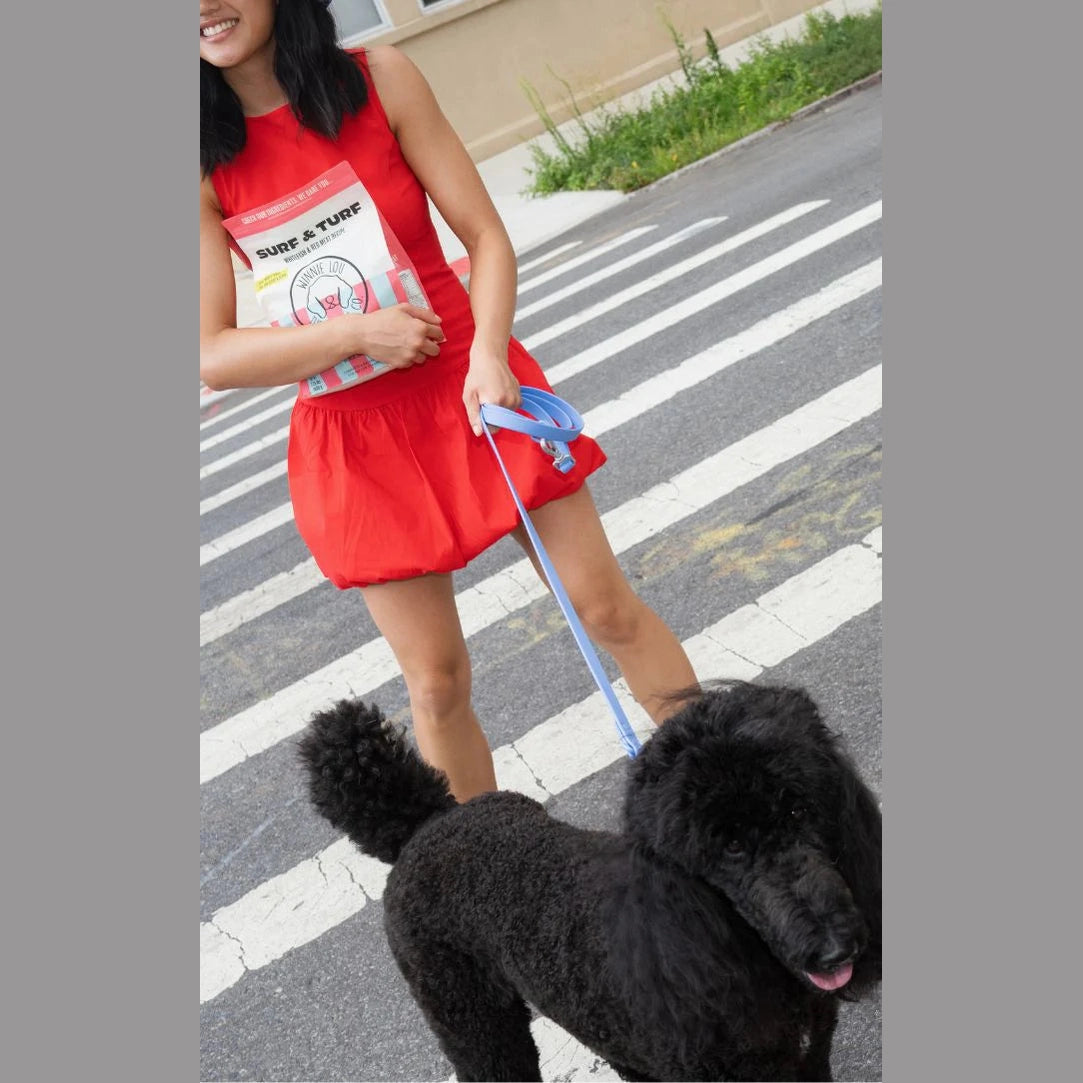Winnie Lou air dried dog food surf and turf held by a woman walking a poodle in a red dress