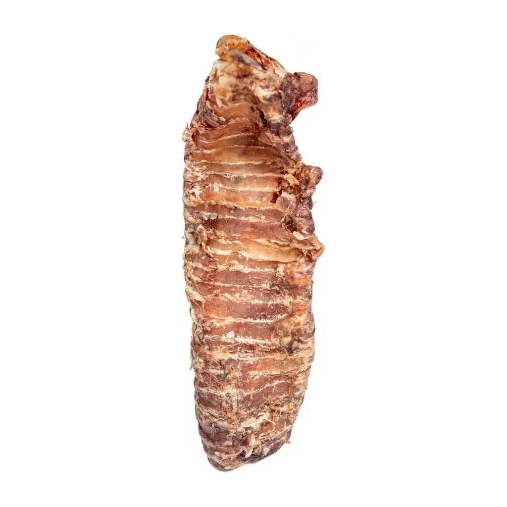 Winnie Lou All - Natural Bison Trachea Chews for Dogs - Talis Us