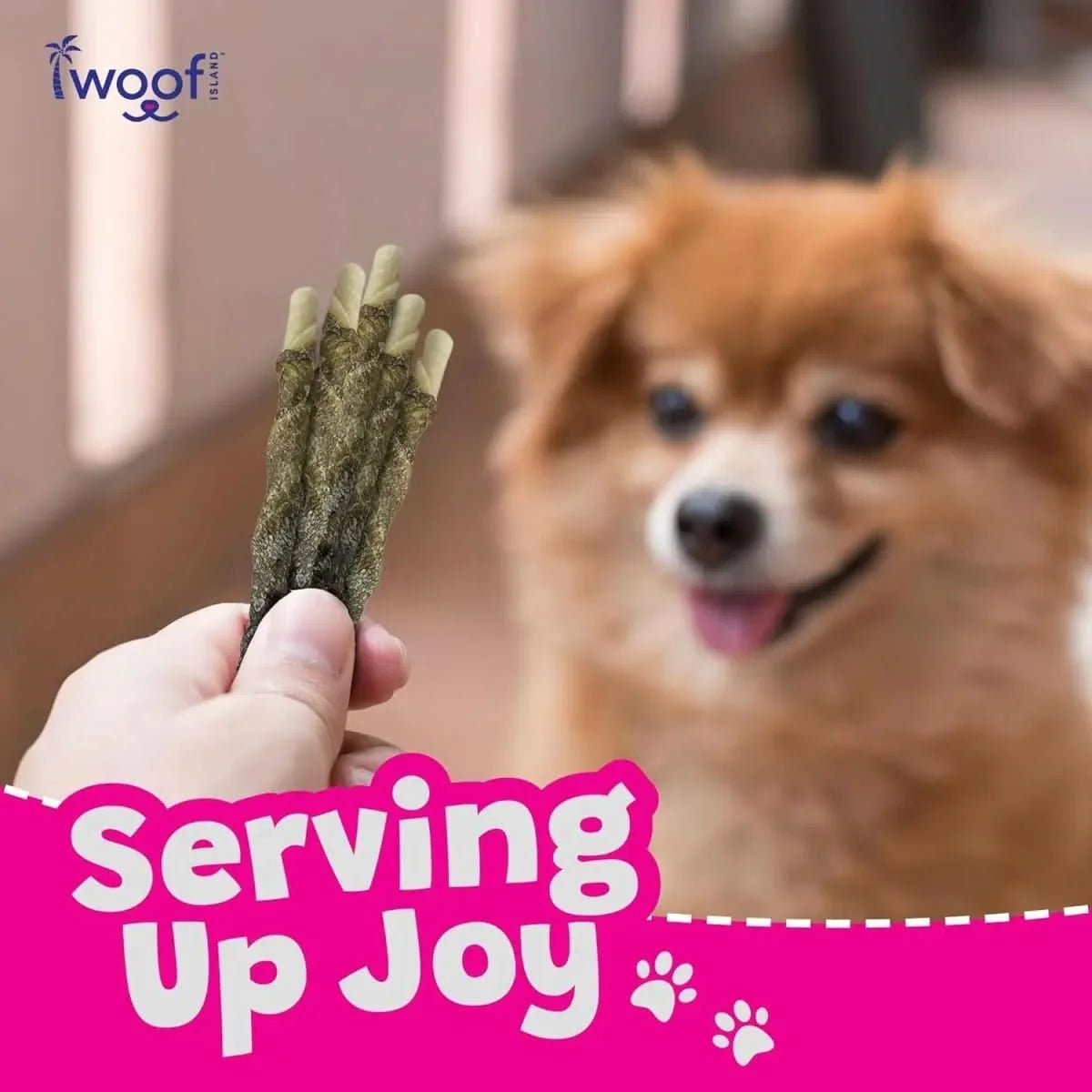 Woof Island Coconut and Mango Sticks Dog Treats with Fish Skin - Talis Us