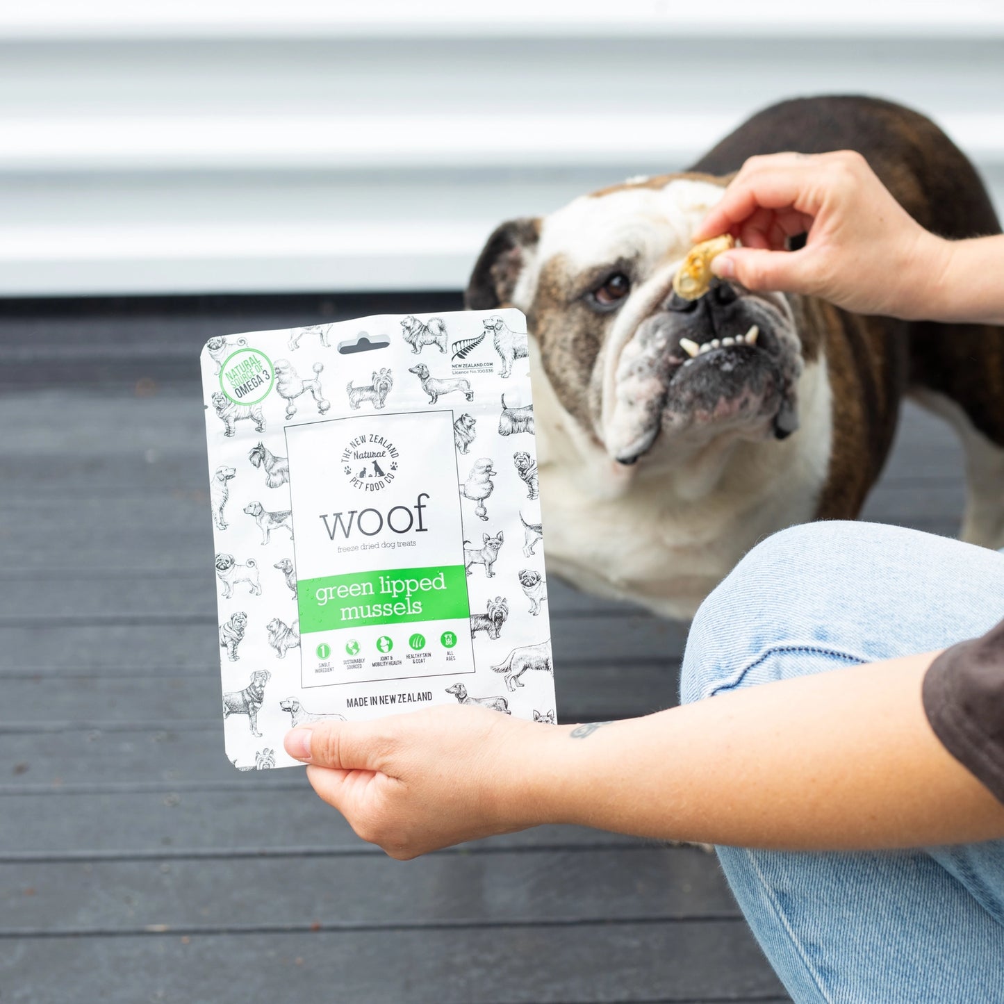 Dog enjoying New Zealand green mussel dog treats from The New Zealand Natural Pet Food Co