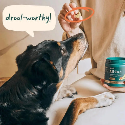 Woof Pet All - In - 1 Beef Flavored Chew Vitamin Supplement for Dogs - Talis Us