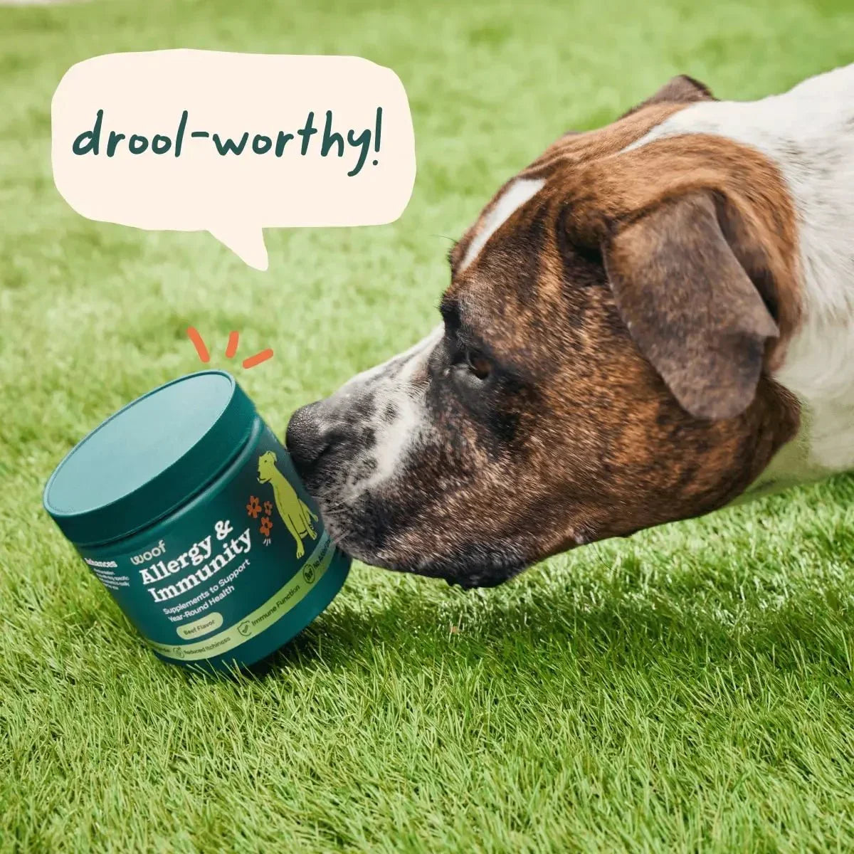 Woof Pet Allergy & Immunity Beef Flavored Chew Supplement for Dogs - Talis Us