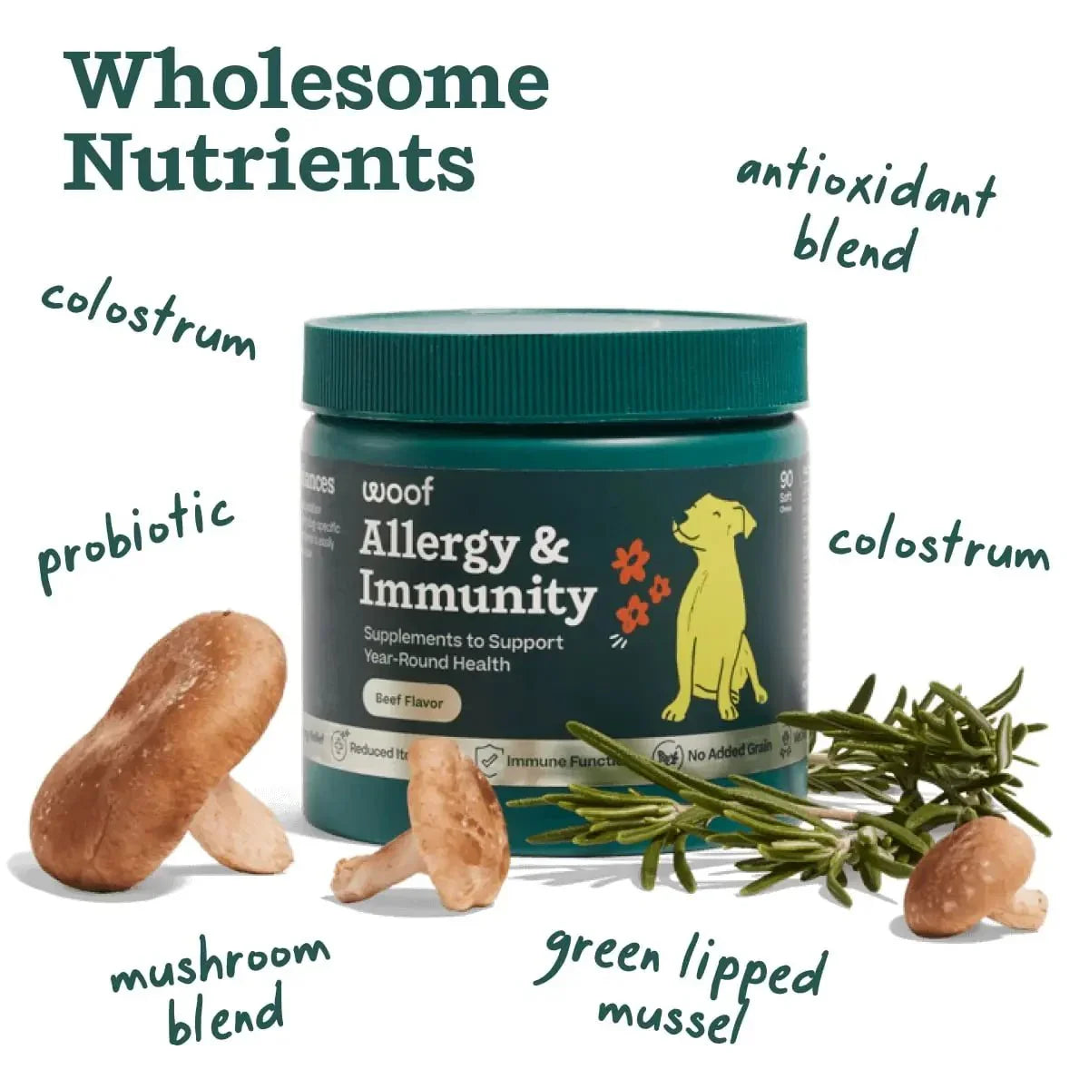 Woof Pet Allergy & Immunity Beef Flavored Chew Supplement for Dogs - Talis Us