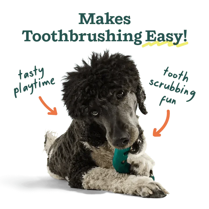 Woof Pet Bite n' Brush Dental Refills - Talis Us