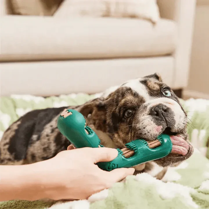 Woof Pet Bite n' Brush Dental Refills - Talis Us