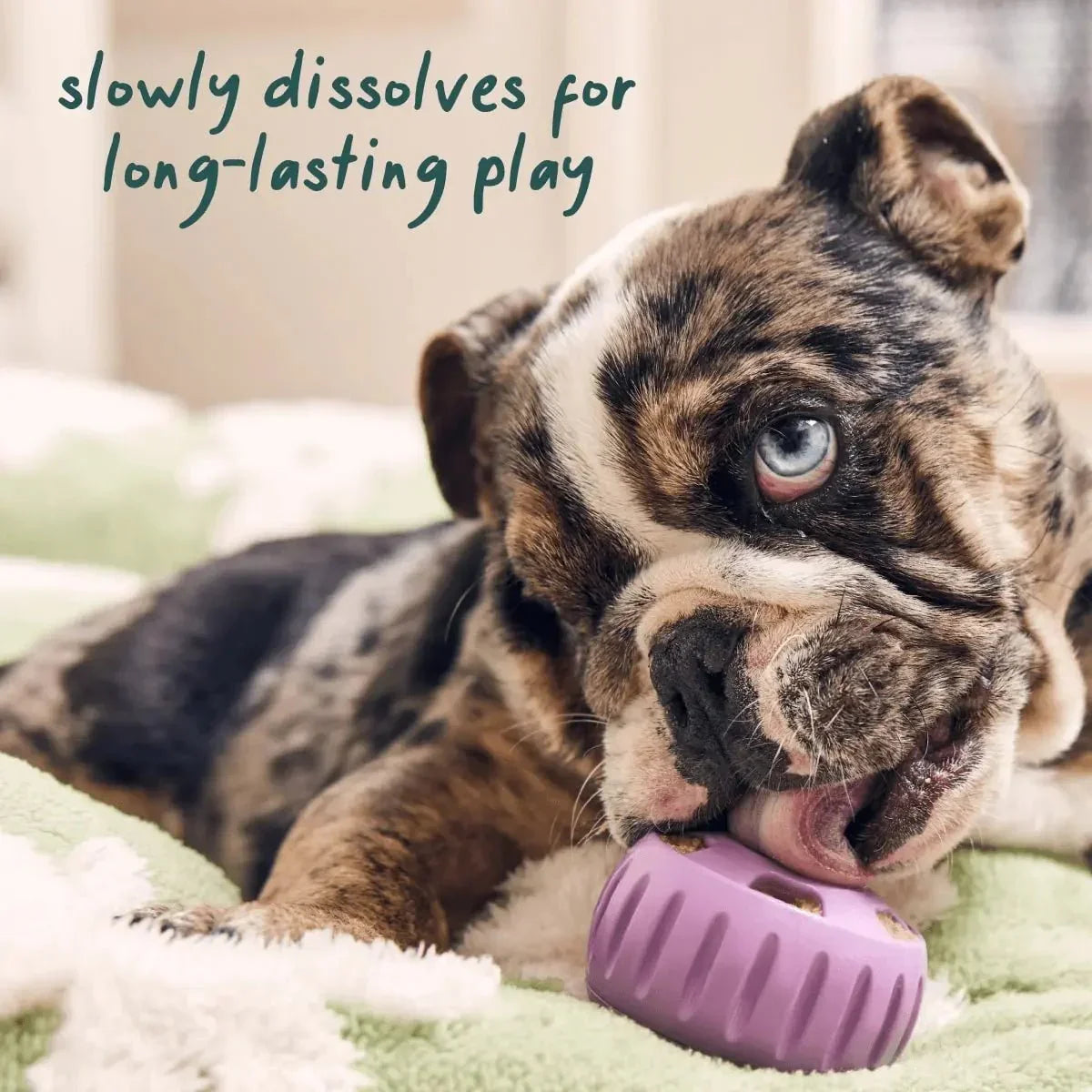 Woof Pet Calming Wellness Pops - Long Lasting Treats for the Pupsicle - Talis Us