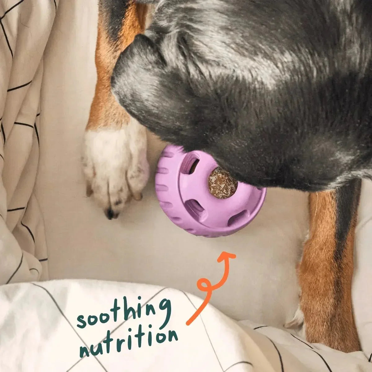 Woof Pet Calming Wellness Pops - Long Lasting Treats for the Pupsicle - Talis Us