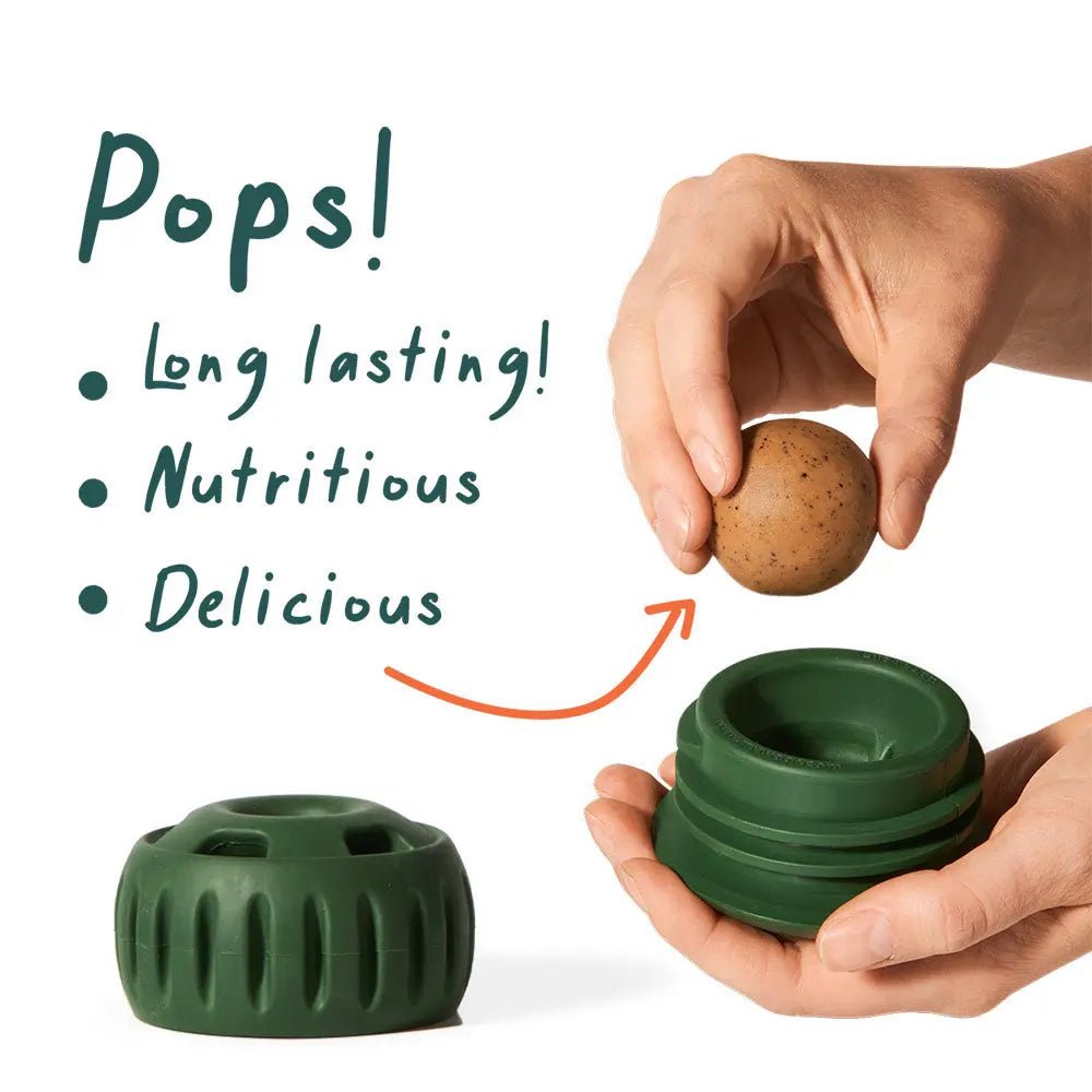 Woof Pet Pupsicle Pops Long Lasting Treats for the Pupsicle - Talis Us
