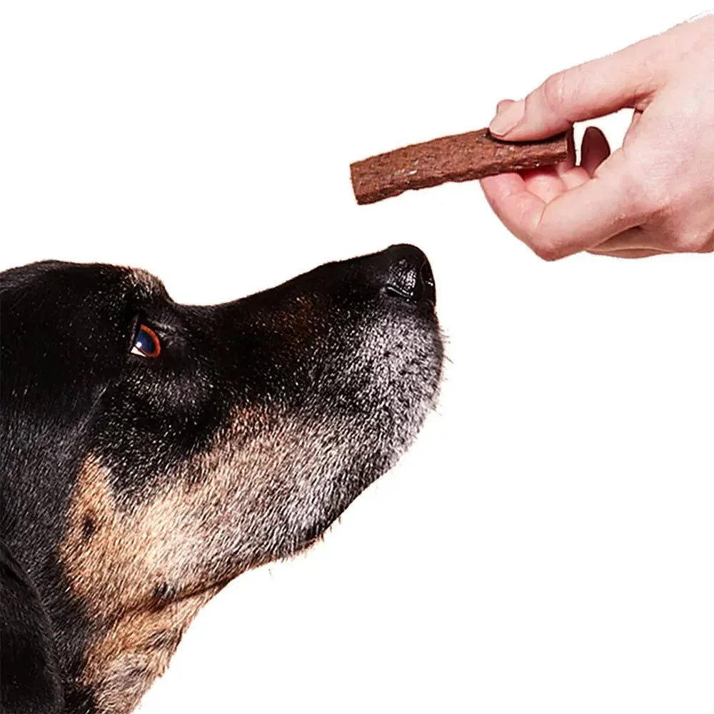 WOOF Super Strips Protein - Rich Dog Treats - Talis Us