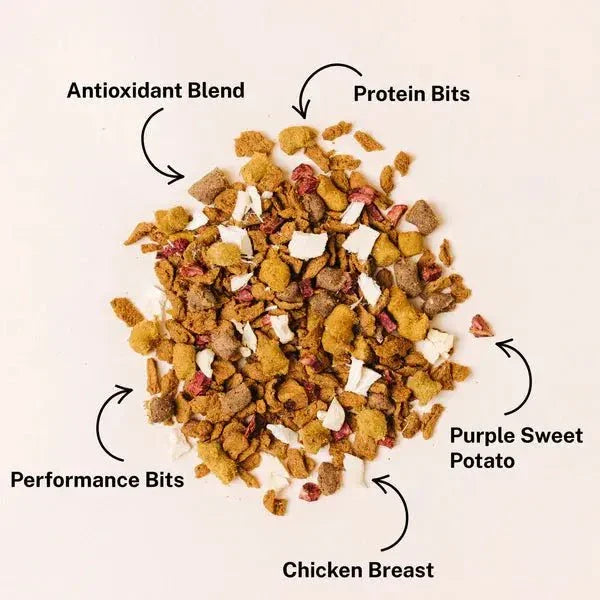 Yummers Chicken & Beef Recipe with Freeze Dried Proteins Dog Food - Talis Us