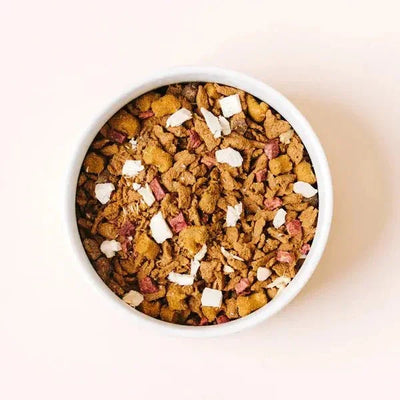 Yummers Chicken & Beef Recipe with Freeze Dried Proteins Dog Food - Talis Us