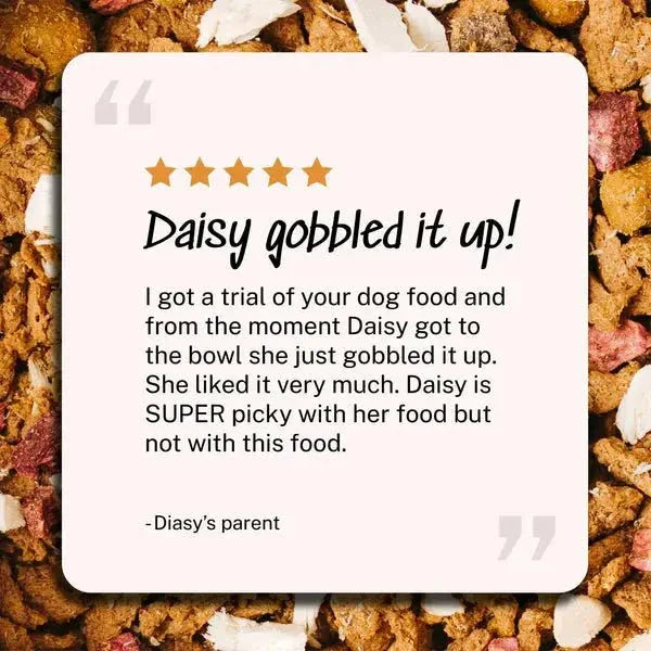 Yummers Chicken & Beef Recipe with Freeze Dried Proteins Dog Food - Talis Us