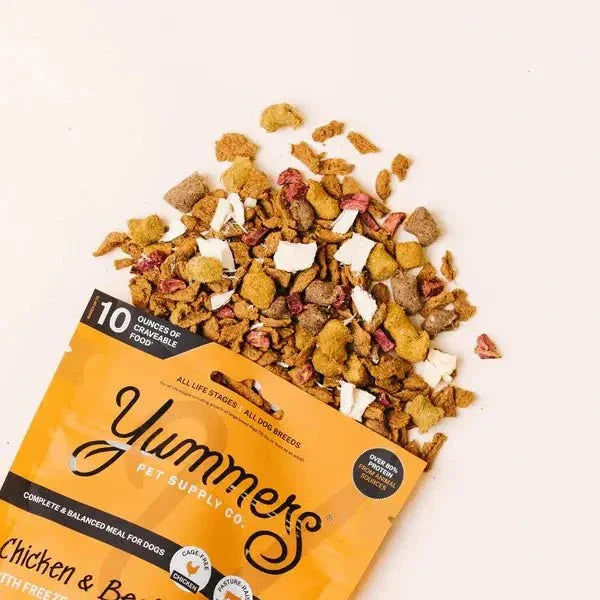 Yummers Chicken & Beef Recipe with Freeze Dried Proteins Dog Food - Talis Us
