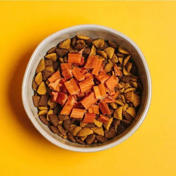 Yummers Chicken & Ginger Recipe Gourmet Meal Mix in for Dogs Food Topper, 5 oz. - Talis Us