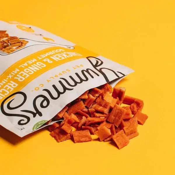 Yummers Chicken & Ginger Recipe Gourmet Meal Mix in for Dogs Food Topper, 5 oz. - Talis Us