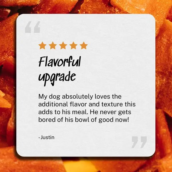 Yummers Chicken & Ginger Recipe Gourmet Meal Mix in for Dogs Food Topper, 5 oz. - Talis Us