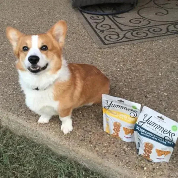 Yummers Chicken & Ginger Recipe Gourmet Meal Mix in for Dogs Food Topper, 5 oz. - Talis Us