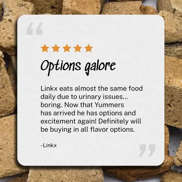 Yummers Freeze dried Beef Liver Gourmet Meal Mix in for Cats Food Topper, 2.5 oz. - Talis Us