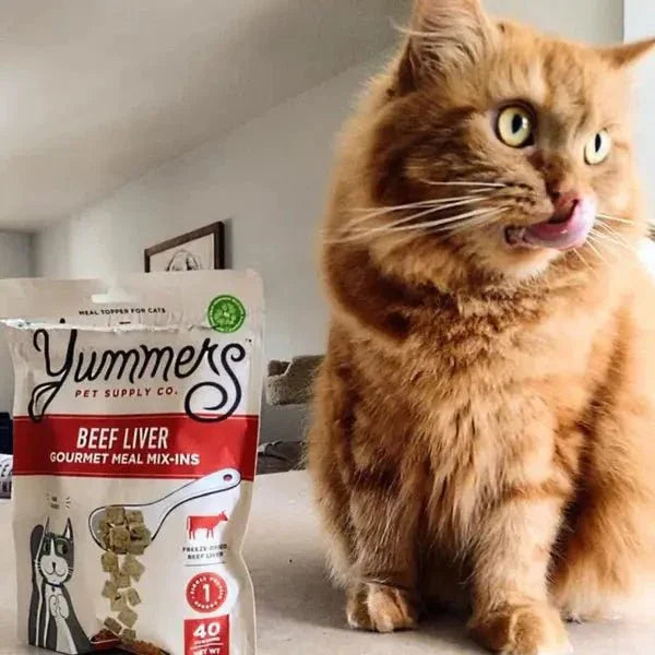 Yummers Freeze dried Beef Liver Gourmet Meal Mix in for Cats Food Topper, 2.5 oz. - Talis Us