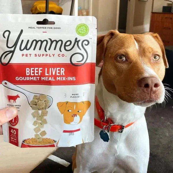 Yummers Freeze dried Beef Liver Gourmet Meal Mix in for Dogs Food Topper, 2.5 oz - Talis Us
