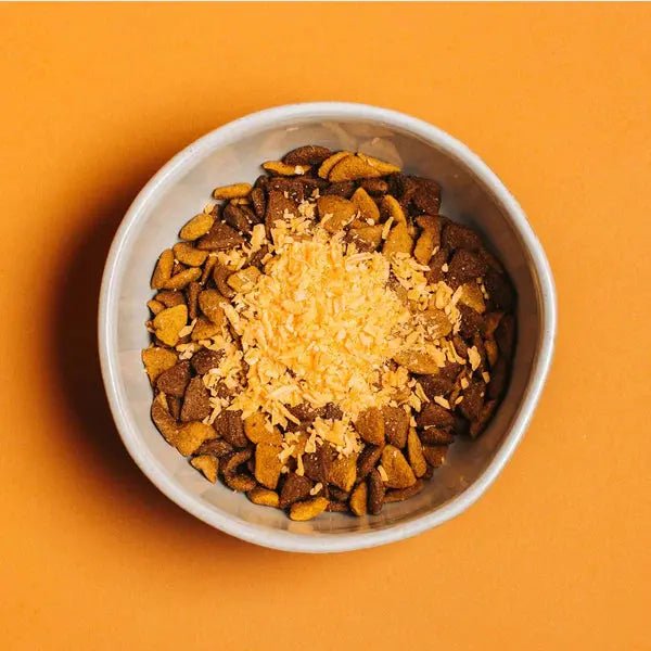 Yummers Freeze Dried Cheddar Cheese Gourmet Meal Mix in for Dogs Food Topper, 2.5 oz - Talis Us