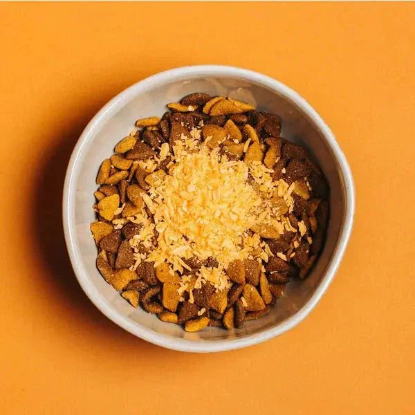 Yummers Freeze Dried Cheddar Cheese Gourmet Meal Mix in for Dogs Food Topper, 2.5 oz - Talis Us