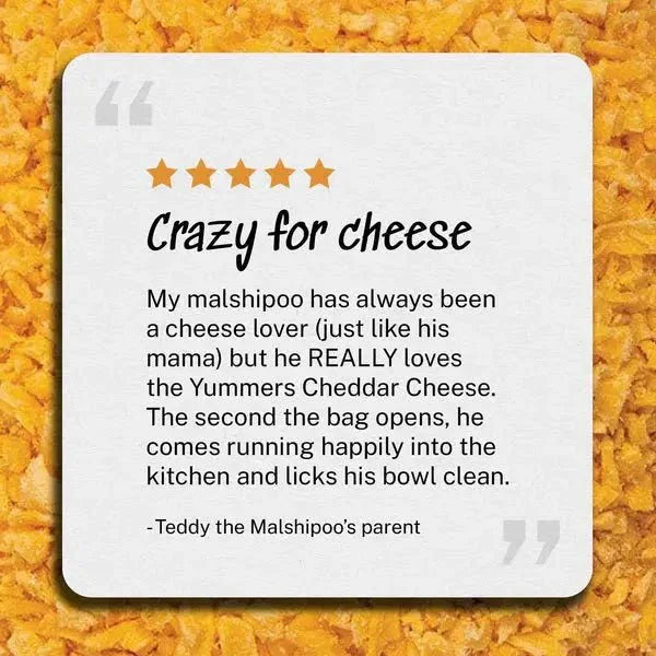 Yummers Freeze Dried Cheddar Cheese Gourmet Meal Mix in for Dogs Food Topper, 2.5 oz - Talis Us