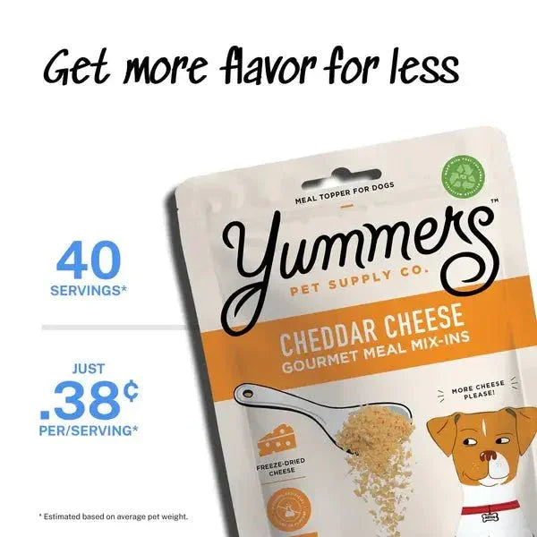 Yummers Freeze Dried Cheddar Cheese Gourmet Meal Mix in for Dogs Food Topper, 2.5 oz - Talis Us