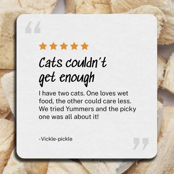 Yummers Freeze - dried Chicken Gourmet Meal Mix - in for Cats Food Topper 2.5 oz. - Talis Us
