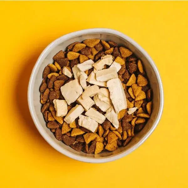 Yummers Freeze Dried Chicken Gourmet Meal Mix in for Dogs Food Topper, 2.5 oz. - Talis Us